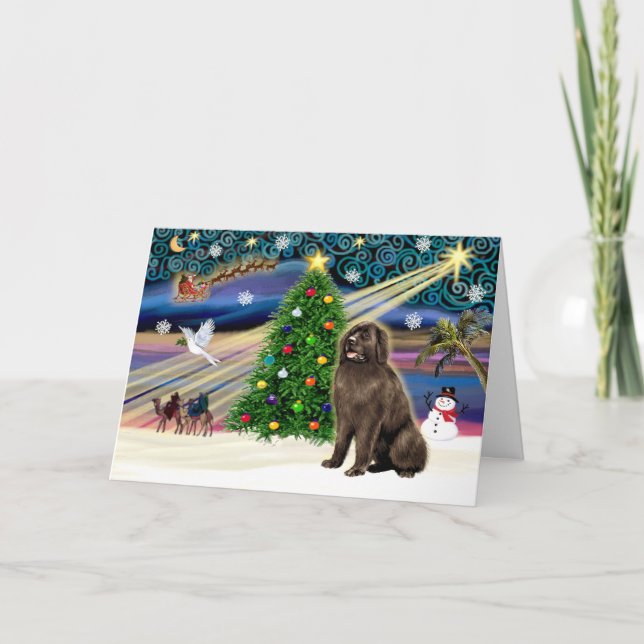 Tarjeta Festiva Xmas Magic-Newfie brownsit (Anverso)