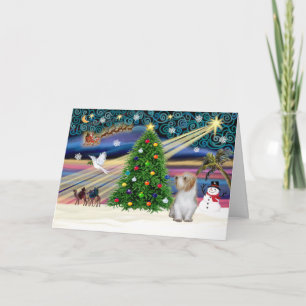 Tarjeta Festiva Xmas Magic-PBGV 3