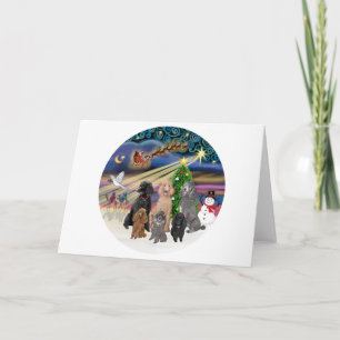 Tarjeta Festiva Xmas Magic (R) - 6 Poodles Estándar