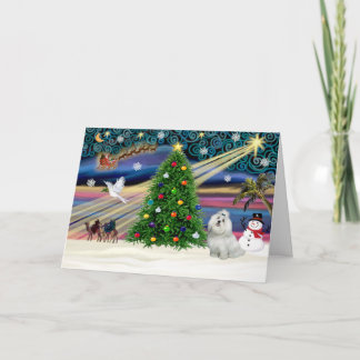 Tarjeta Festiva Xmas mágico-maltés-corbata