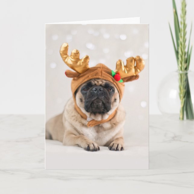 Tarjeta Festiva Xmas Pug (Anverso)