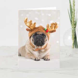 Tarjeta Festiva Xmas Pug