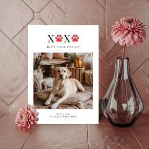 Tarjeta Festiva Xoxo Pawprint Retriever Funny Dog Photo Valentines