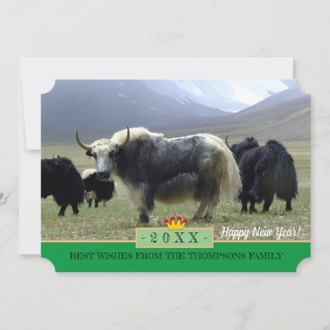 Tarjeta Festiva ¡Yaks y Feliz Año Nuevo! Tarjeta/Himalaya, Tíbet (Anverso)