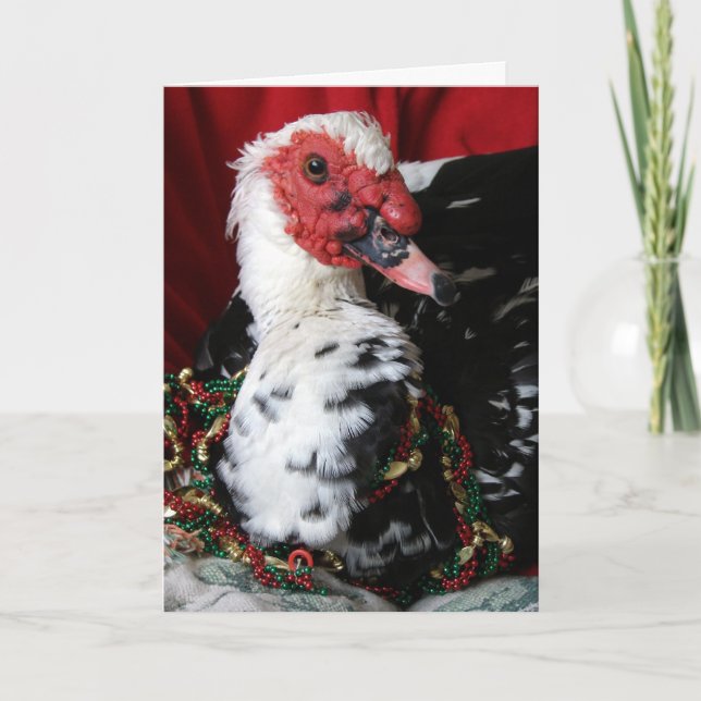 Tarjeta Festiva Yankee the Muscovy Drake, Navidades (Anverso)