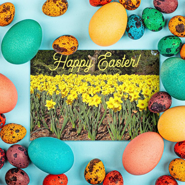 Tarjeta Festiva Yellow Daffodil Garden Floral Easter (In Situ)