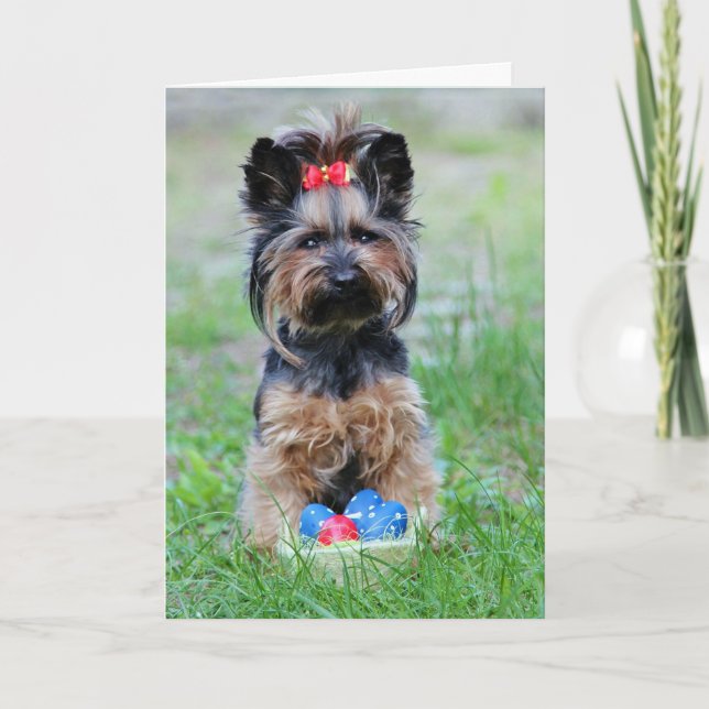 Tarjeta Festiva Yorkie Puppy Con Huevos De Pascua (Anverso)