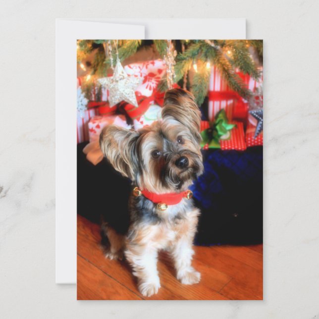 Tarjeta Festiva Yorkshire Terrier en campanario con Navidades (Anverso)