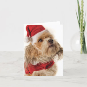 TARJETA FESTIVA ZOE SANTA