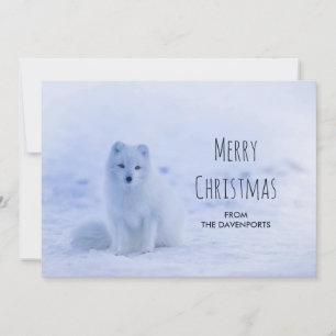 Tarjeta Festiva Zorro Ártico Adorable sobre Fondo Invernal Nevado