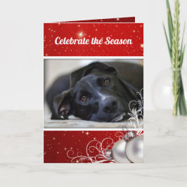 Tarjeta Festividad de bienvenida de Mascota de familia de