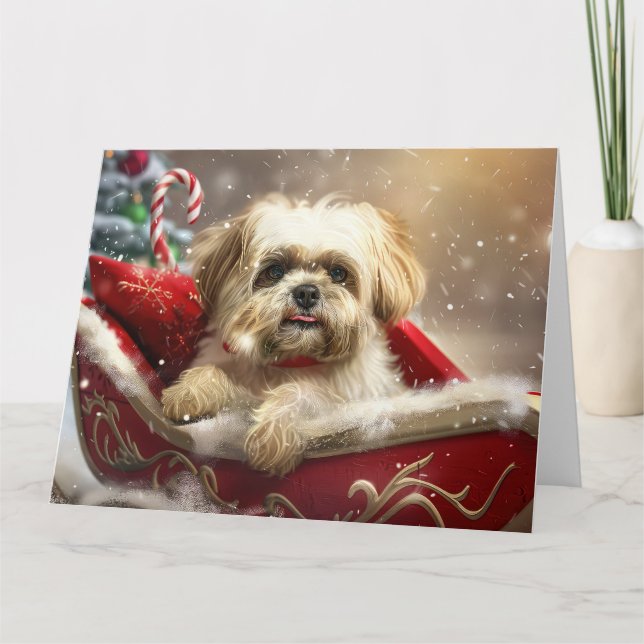 Tarjeta Festividad de los Navidades de perro de Malti Tzu (Anverso)