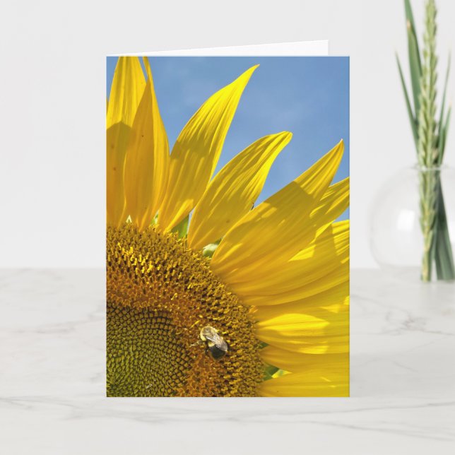 Tarjeta Festividad del Festival del Girasol (Anverso)