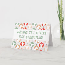 Festividades de Greyhound italianas con Navidades