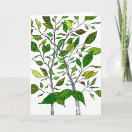 Tarjeta Ficus Plant Color Pencil Tree Drawing 