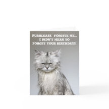 FideosChillaxingCat Cumpleaños tardado