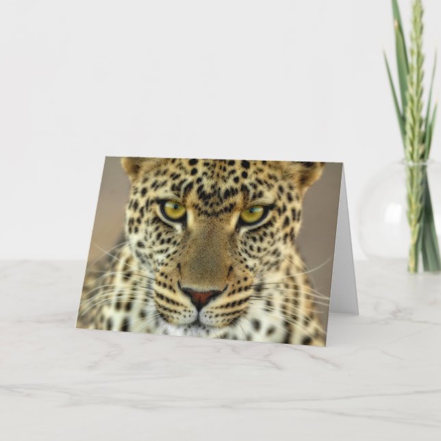 Tarjeta Fierce Leopard (Anverso)