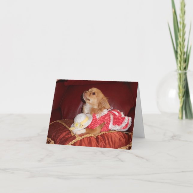 Tarjeta fiesta chi (Anverso)