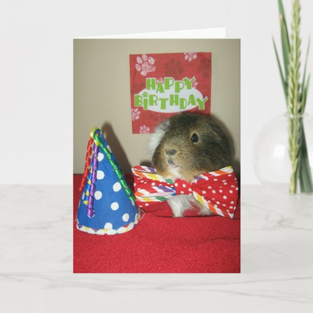 Tarjeta Fiesta de cumpleaños de Baci (Anverso)