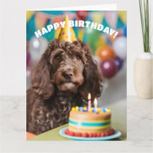 Fiesta de cumpleaños de Cockapoo