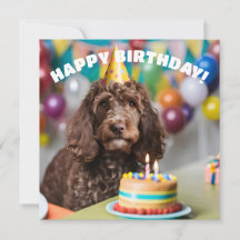 Fiesta de cumpleaños de Cockapoo