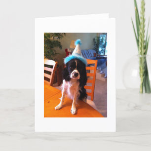 Tarjeta Fiesta de cumpleaños de Micahs