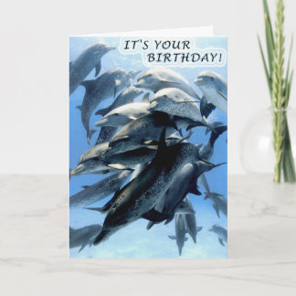 Tarjeta Fiesta de cumpleaños para delfines