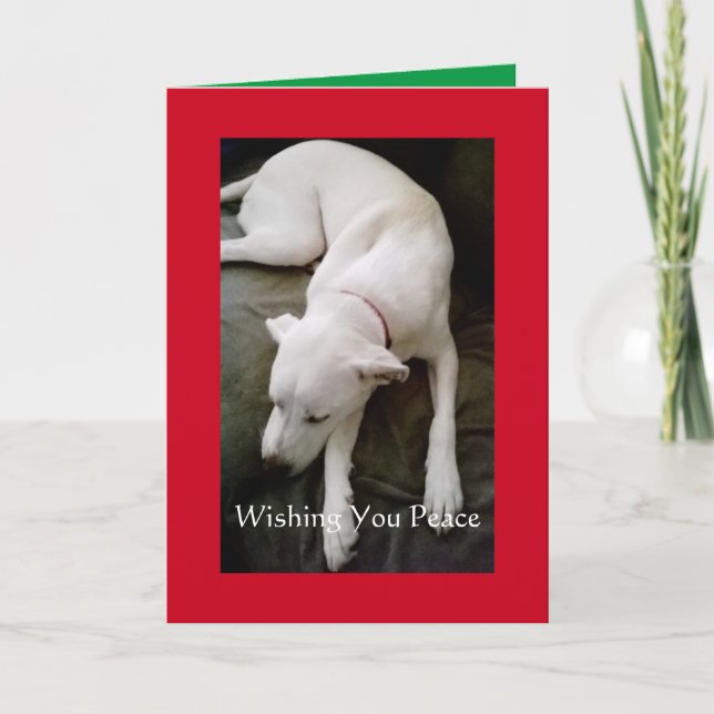 Tarjeta Fiesta de los pacíficos Navidades de perros blanco (Anverso)