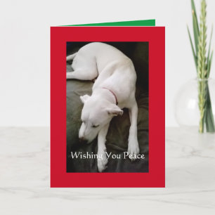 Tarjeta Fiesta de los pacíficos Navidades de perros blanco