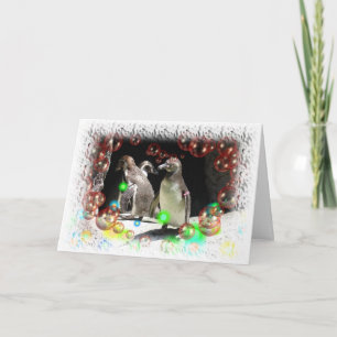 Tarjeta Fiesta del pingüino Humboldt
