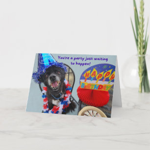 Tarjeta Fiesta Dog Funny Cumpleaños 