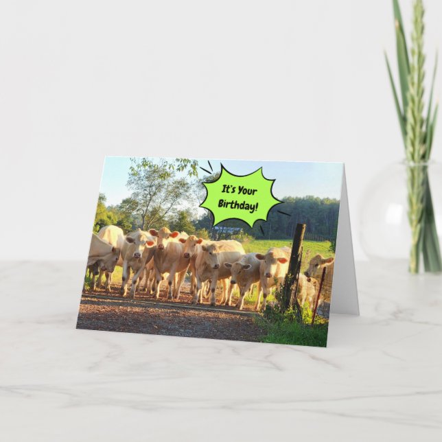Tarjeta Fiesta Hasta Que Las Vacas Vengan A Casa Cumpleaño (Anverso)