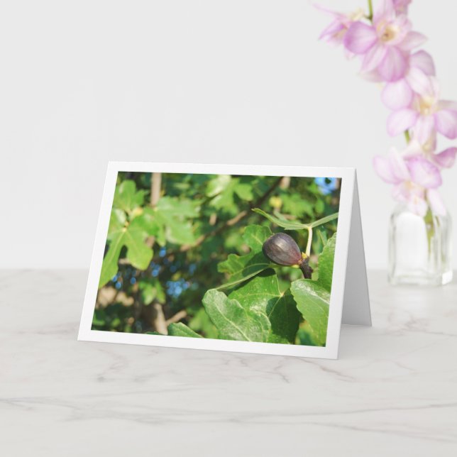 Tarjeta Fig simple en retrato de árbol (Orquídea)