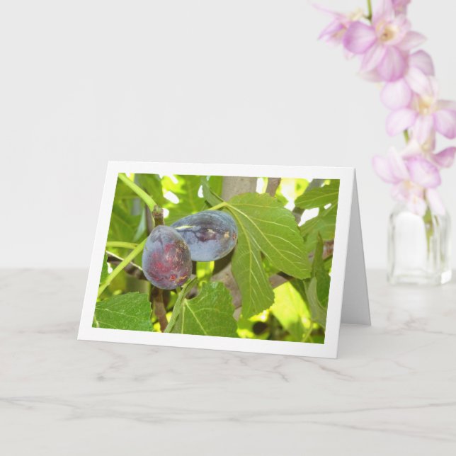 Tarjeta Figs en retrato de árbol (Orquídea)