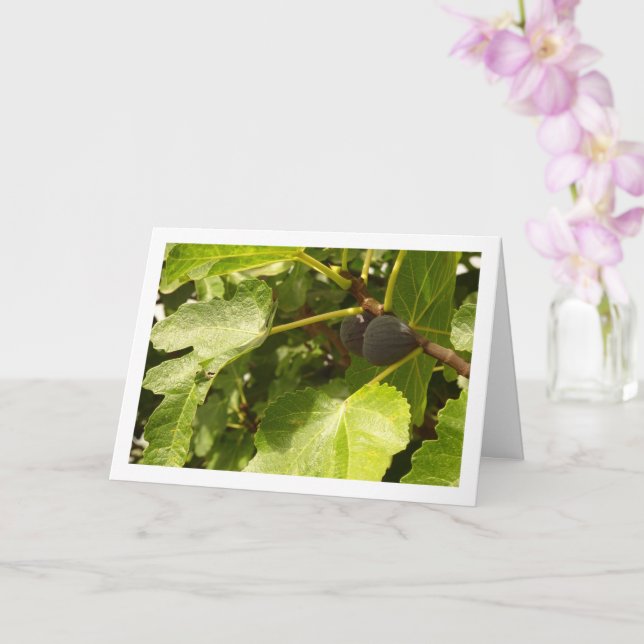 Tarjeta Figs en retrato de árbol (Orquídea)