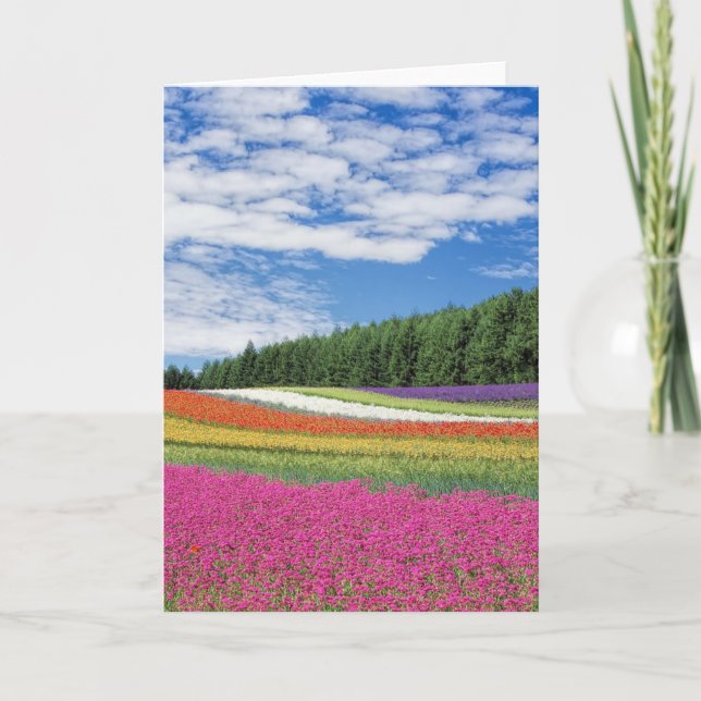 Tarjeta Filas de campo de verano de flores (Anverso)