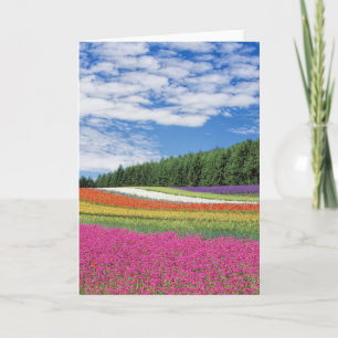 Tarjeta Filas de campo de verano de flores