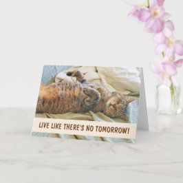 Tarjeta Filosofía del gato flojo Cumpleaños