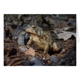 Tarjeta filosófica de saludo de rana de sapo