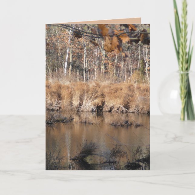 Tarjeta Finales de otoño (Anverso)