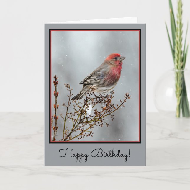 Tarjeta Finca de casa en nieve - Fotografía original (Anverso)