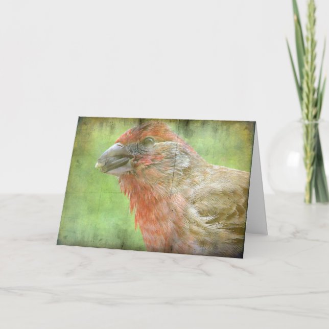 Tarjeta Finch (Anverso)
