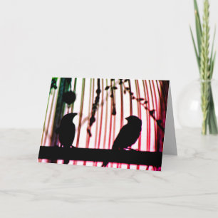 Tarjeta Finch Friends