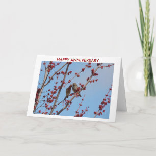 Tarjeta Finches De Casa, Amor Entre Los Cebos 2, FELIZ ANN