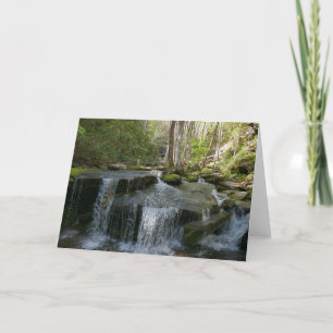 Tarjeta Findlay Falls I