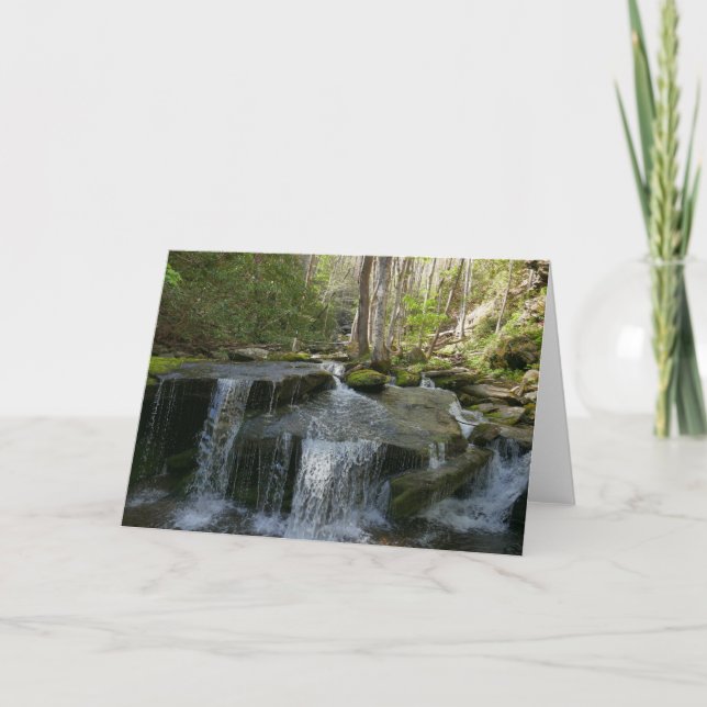 Tarjeta Findlay Falls I (Anverso)