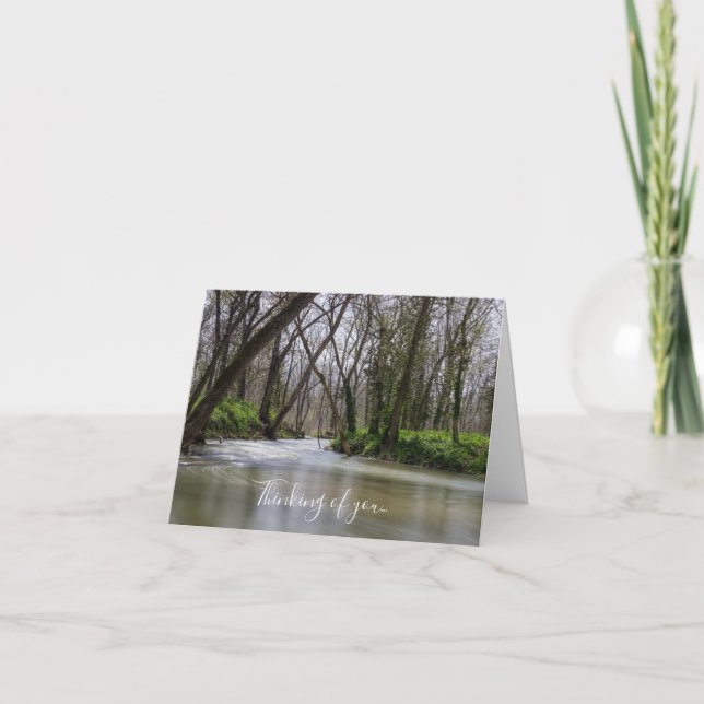 Tarjeta Finley Tranquilidad En La Primavera Pensando En Ti (Anverso)