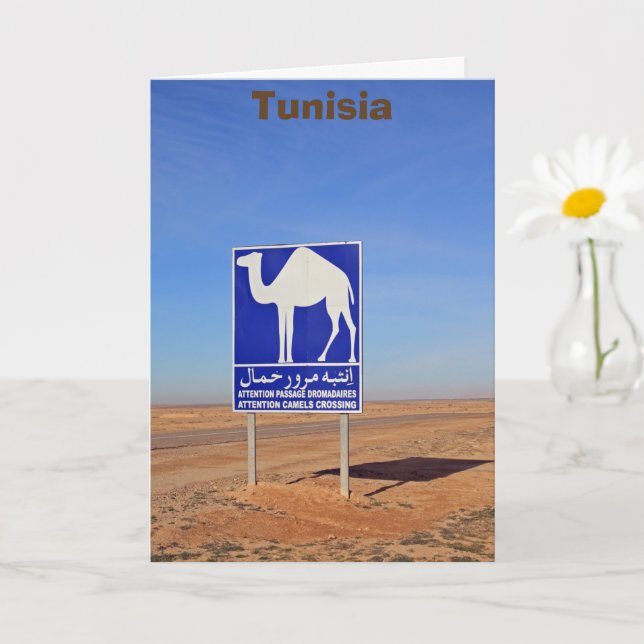 Tarjeta Firma de camellos, Túnez (Planta pequeña)