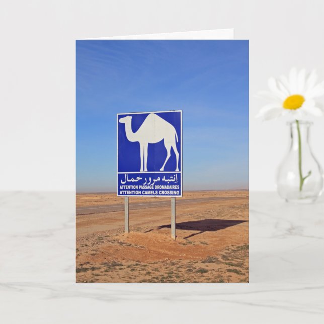 Tarjeta Firma de camellos, Túnez (Planta pequeña)