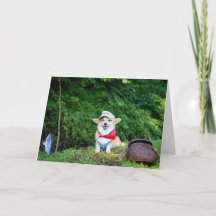 Fisherman Corgi saludo en blanco